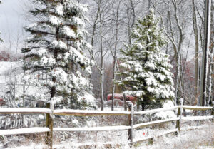 Winter Weather Awareness